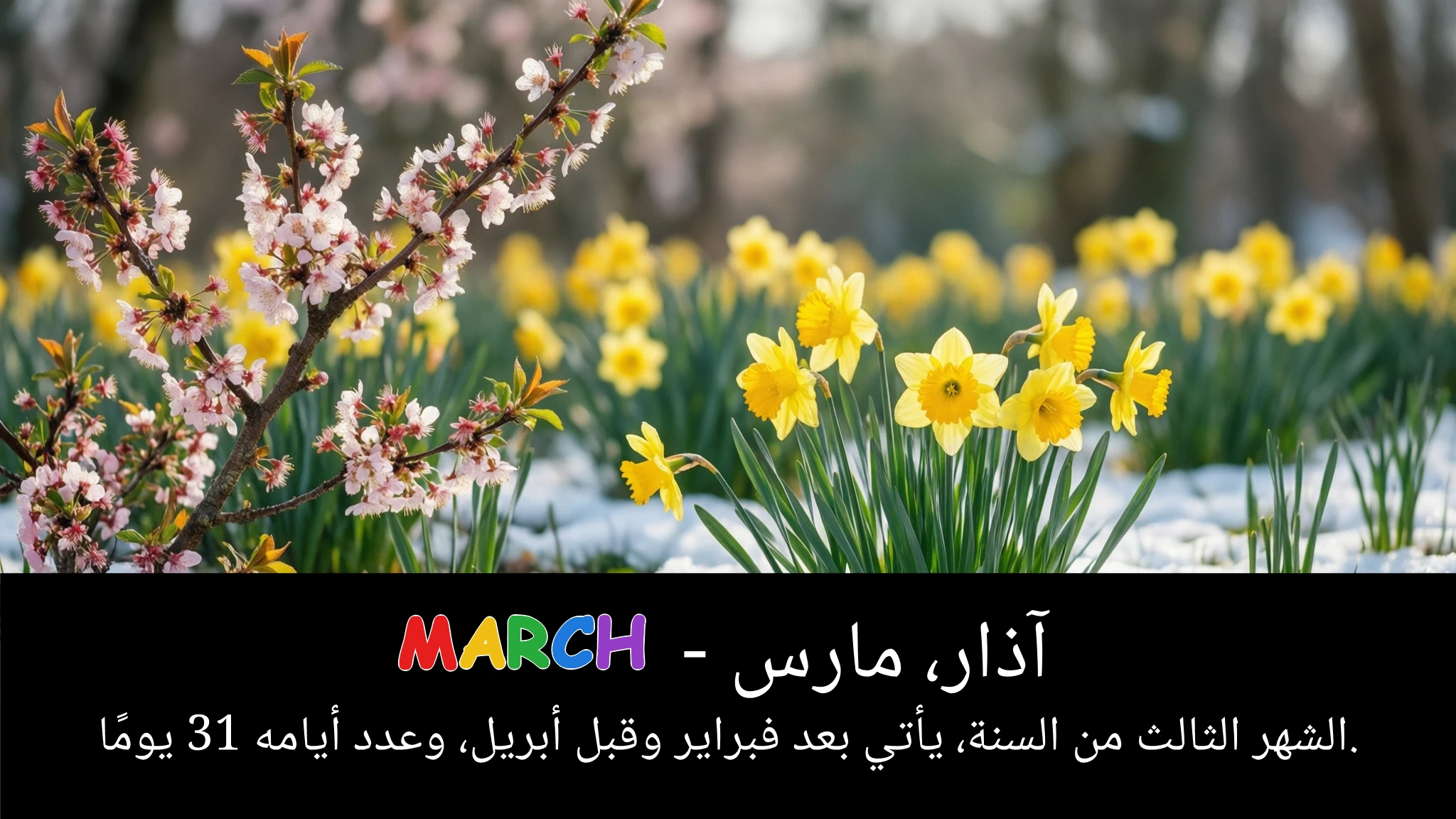 Arabic Illustration for March